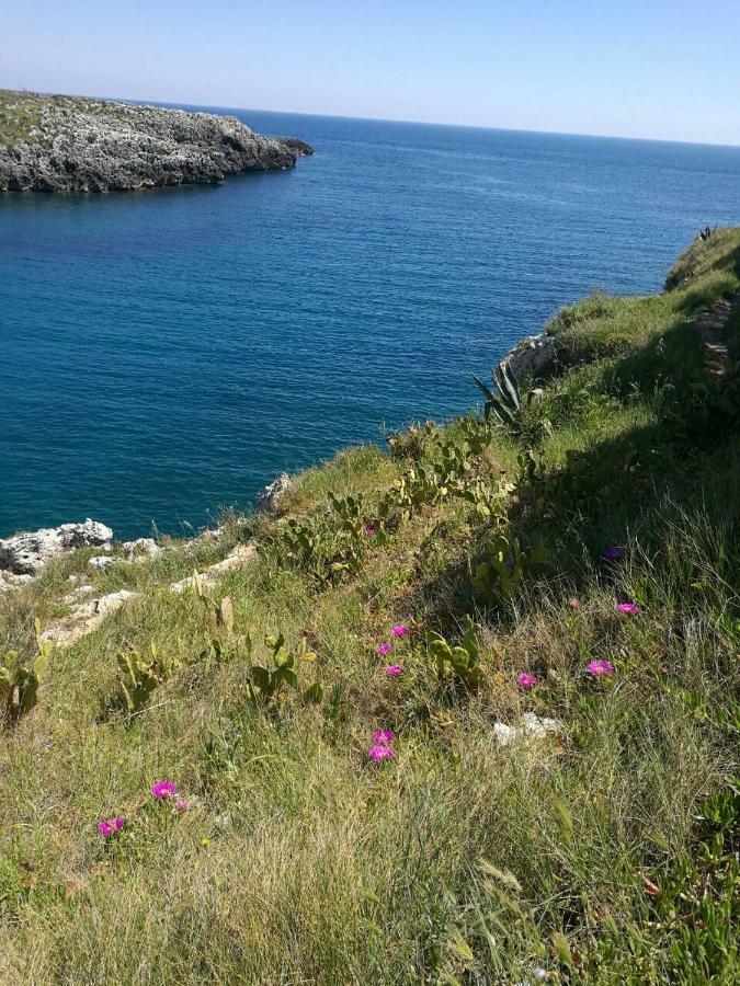 Badisco Vacanze أوترانتو المظهر الخارجي الصورة